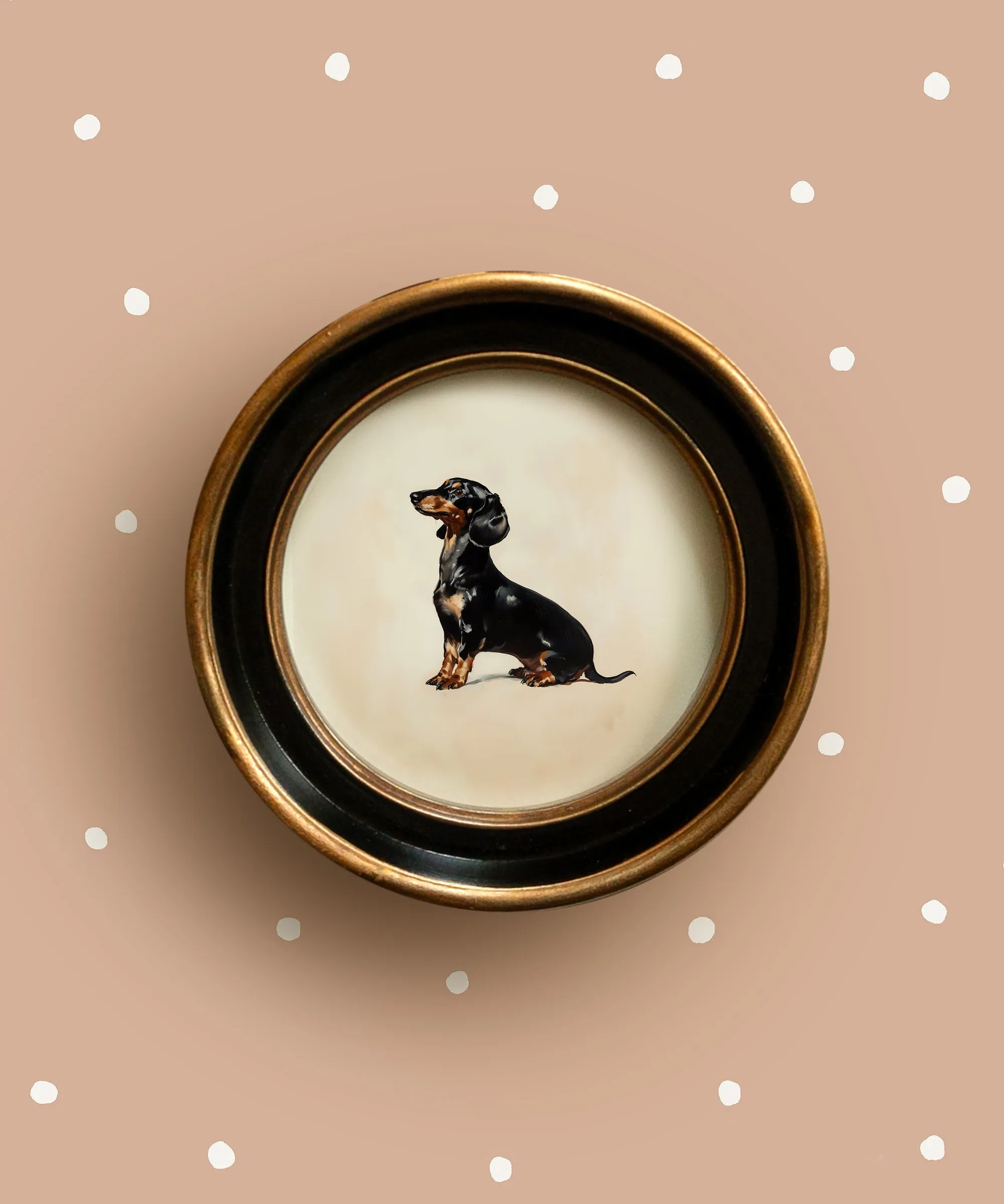 A Seated Dachshund