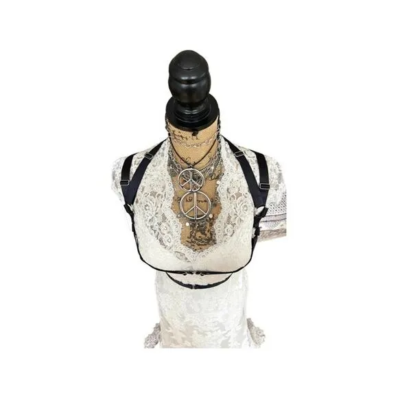 CHAOS THEORY HARNESS II bold, fearless addition to yr intimate clothes drawer