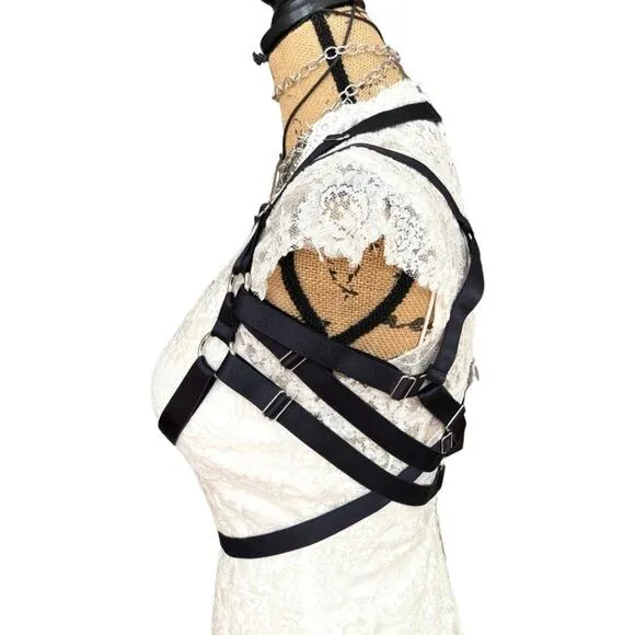 CHAOS THEORY HARNESS II bold, fearless addition to yr intimate clothes drawer