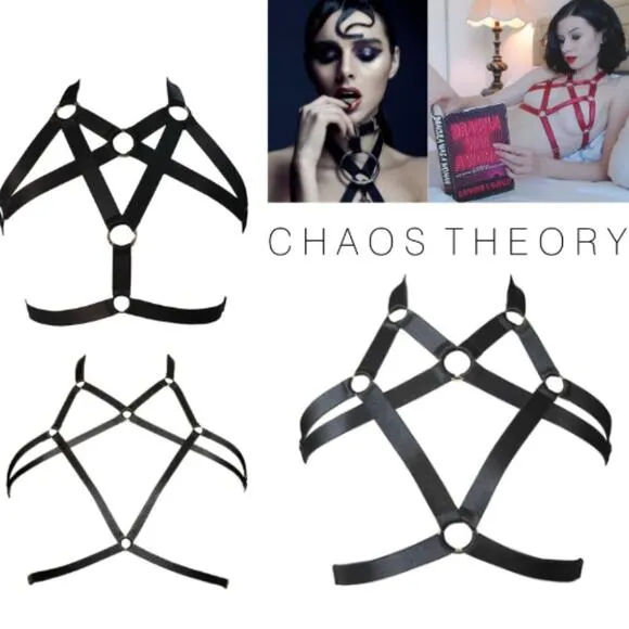CHAOS THEORY HARNESS II bold, fearless addition to yr intimate clothes drawer