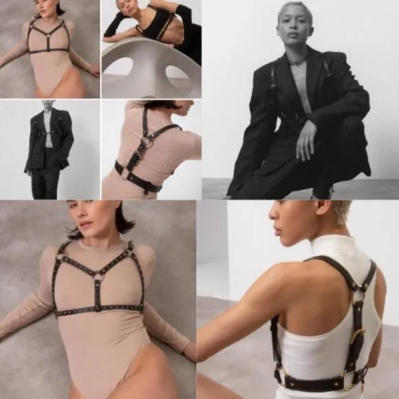 CHAOS THEORY HARNESS II bold, fearless addition to yr intimate clothes drawer