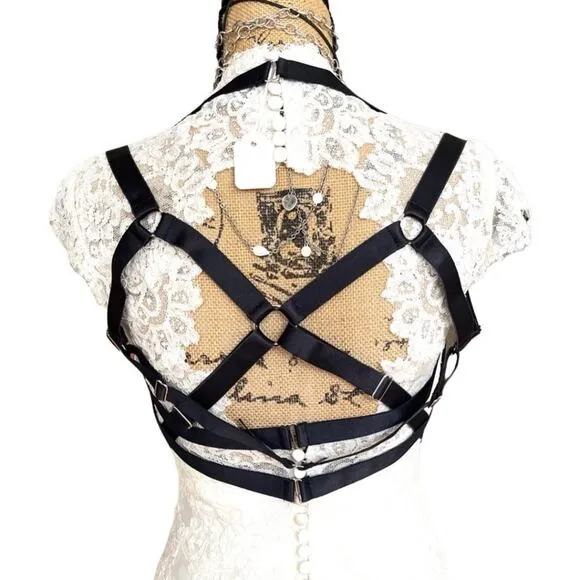 CHAOS THEORY HARNESS II bold, fearless addition to yr intimate clothes drawer