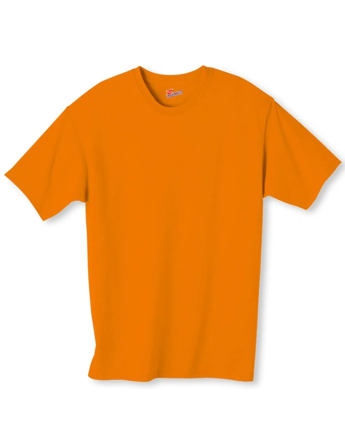 Hanes Authentic-T T-shirt