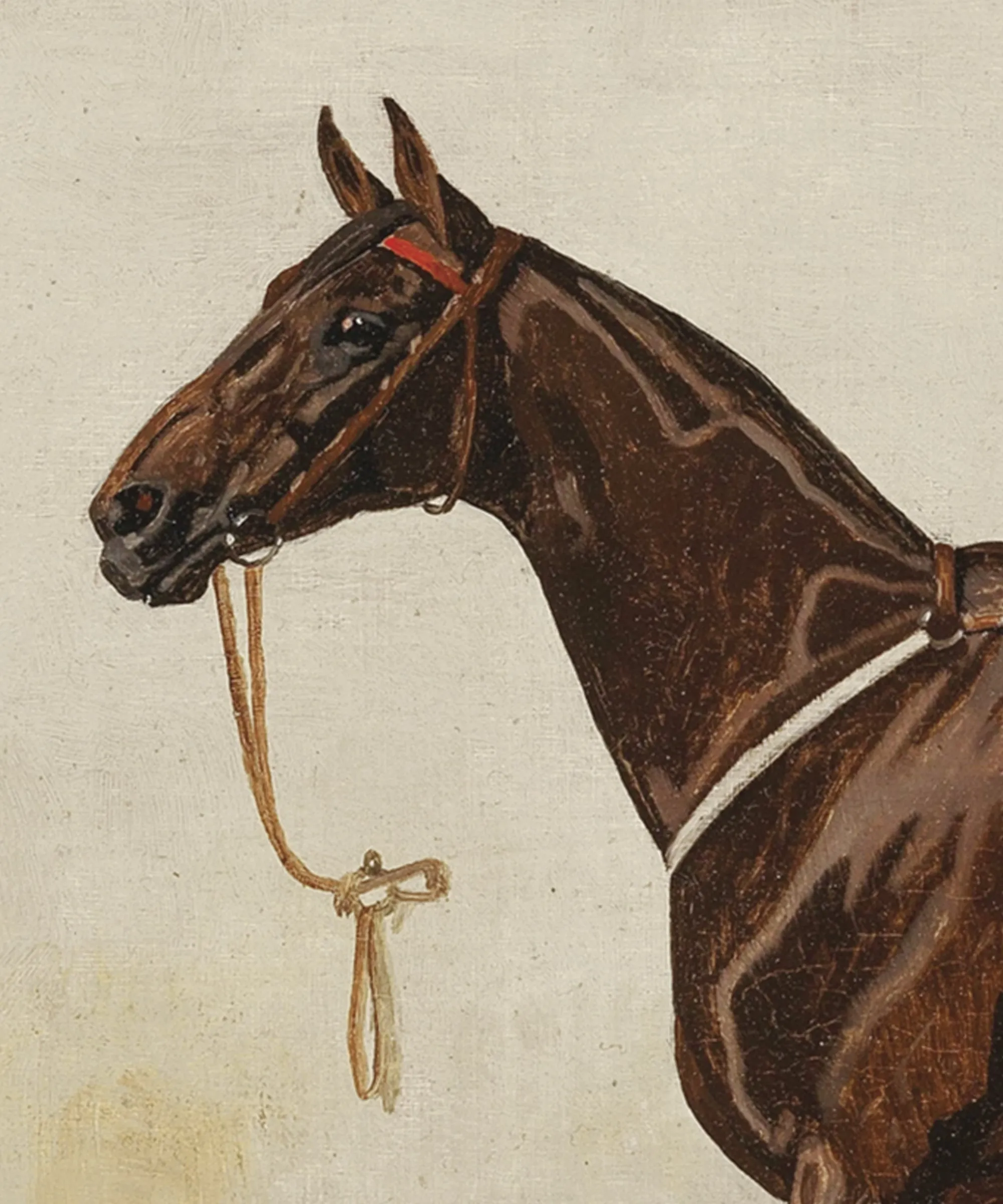 Set of Four Horse Portraits | Collection II