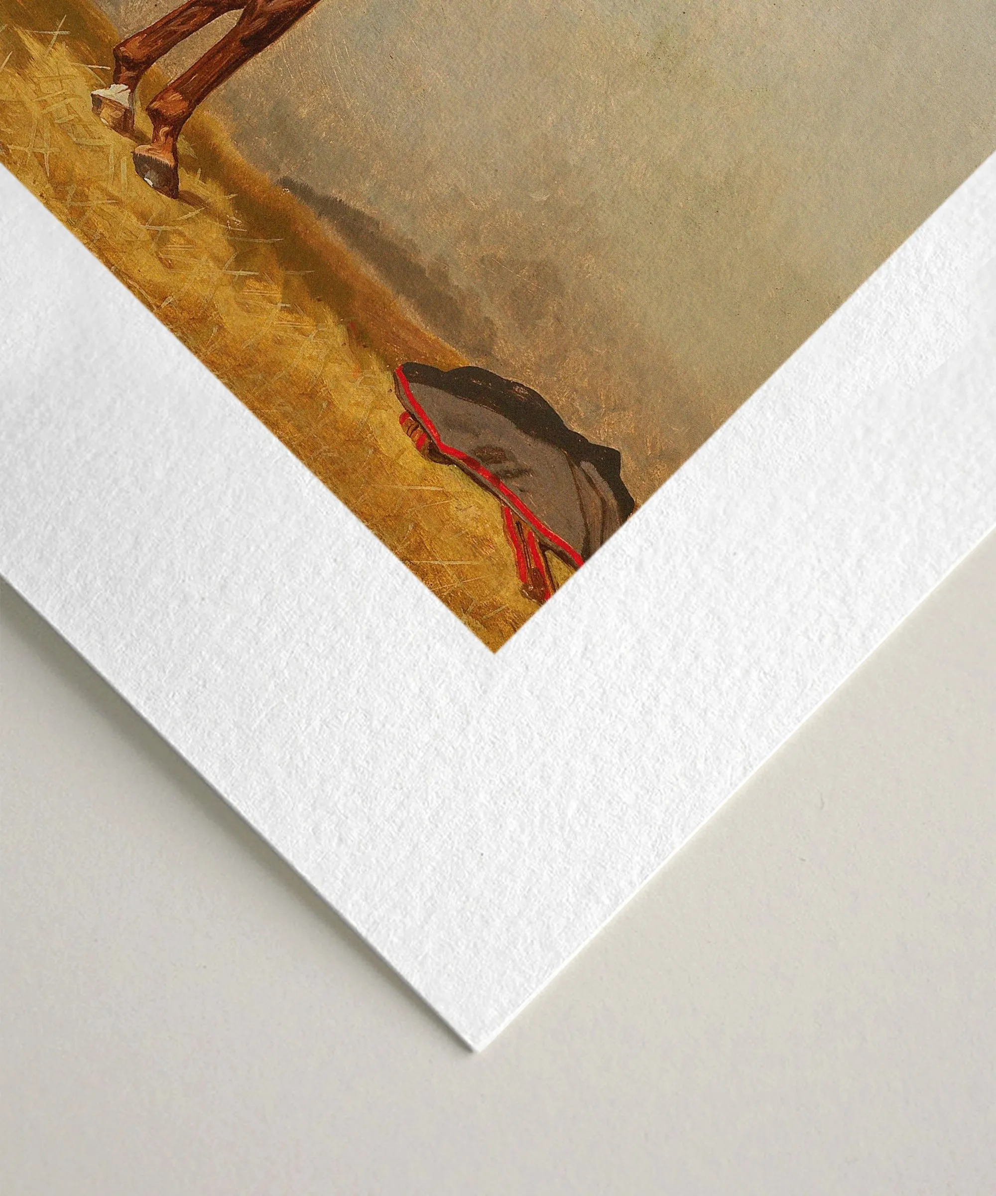 Set of Four Horse Portraits | Collection II