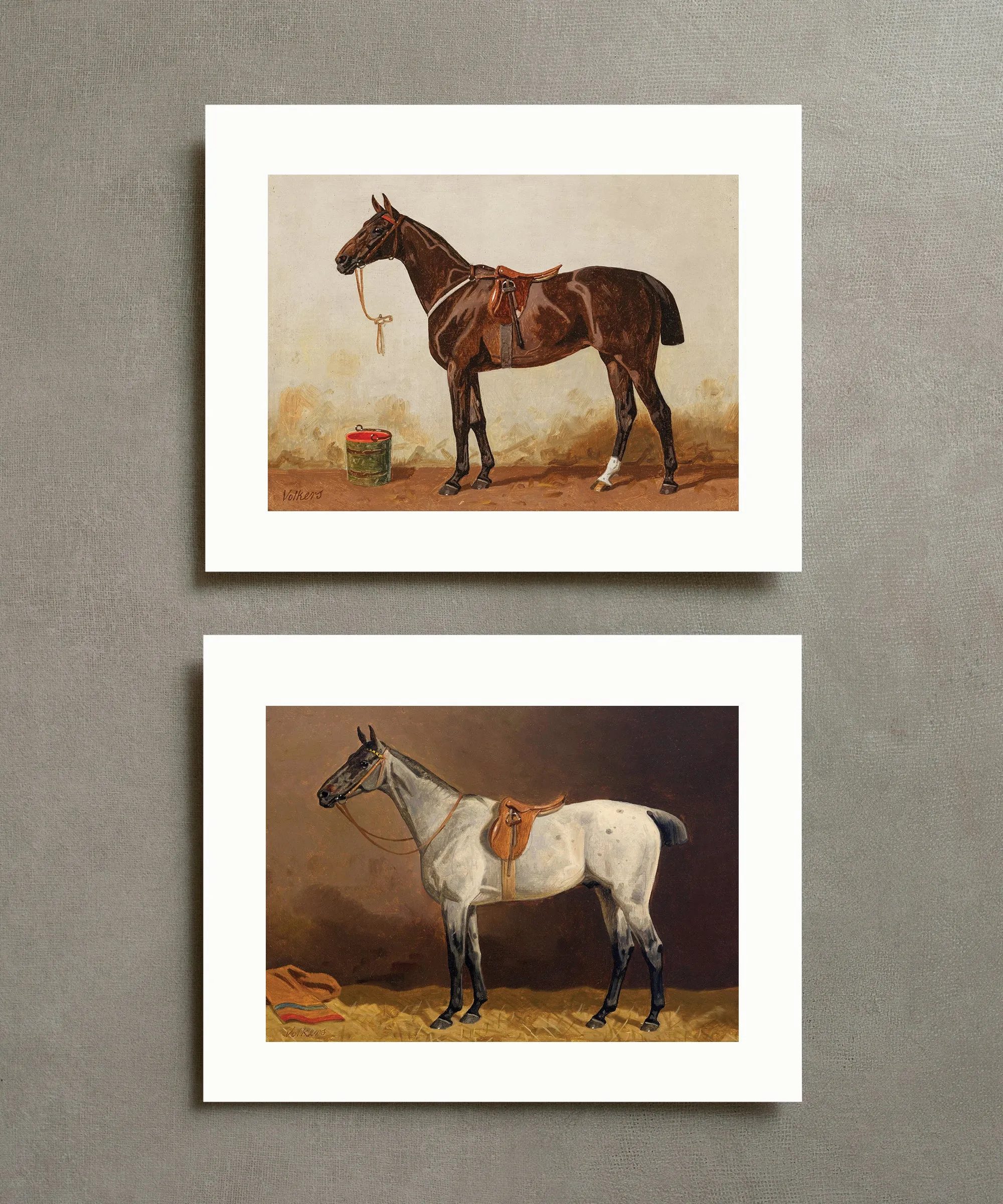 Set of Four Horse Portraits | Collection II