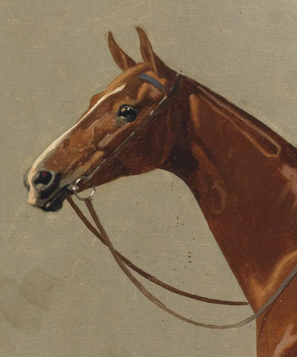 Set of Two Horse Portraits | Collection II