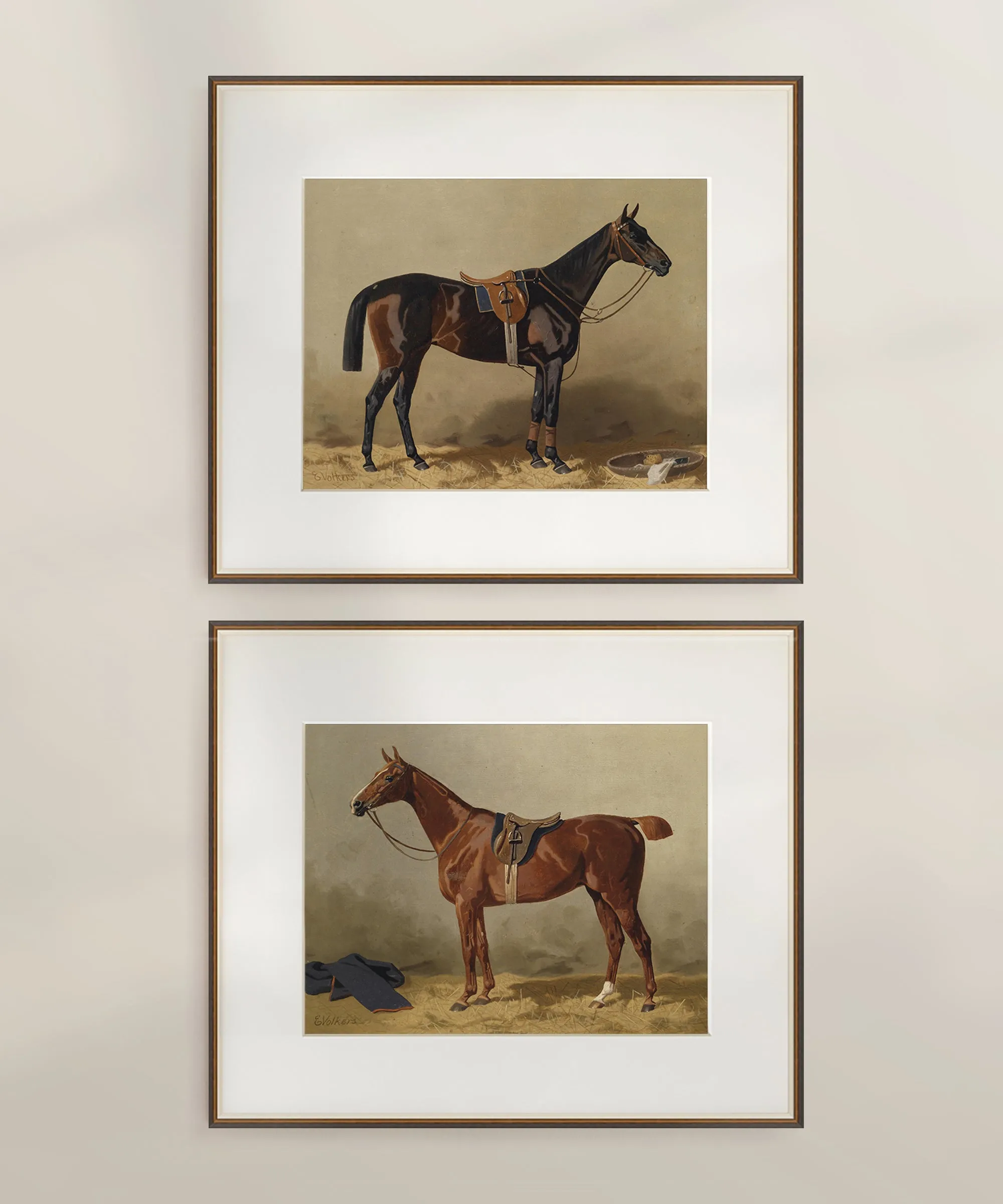 Set of Two Horse Portraits | Collection II