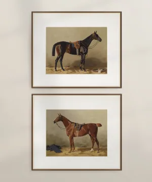 Set of Two Horse Portraits | Collection II