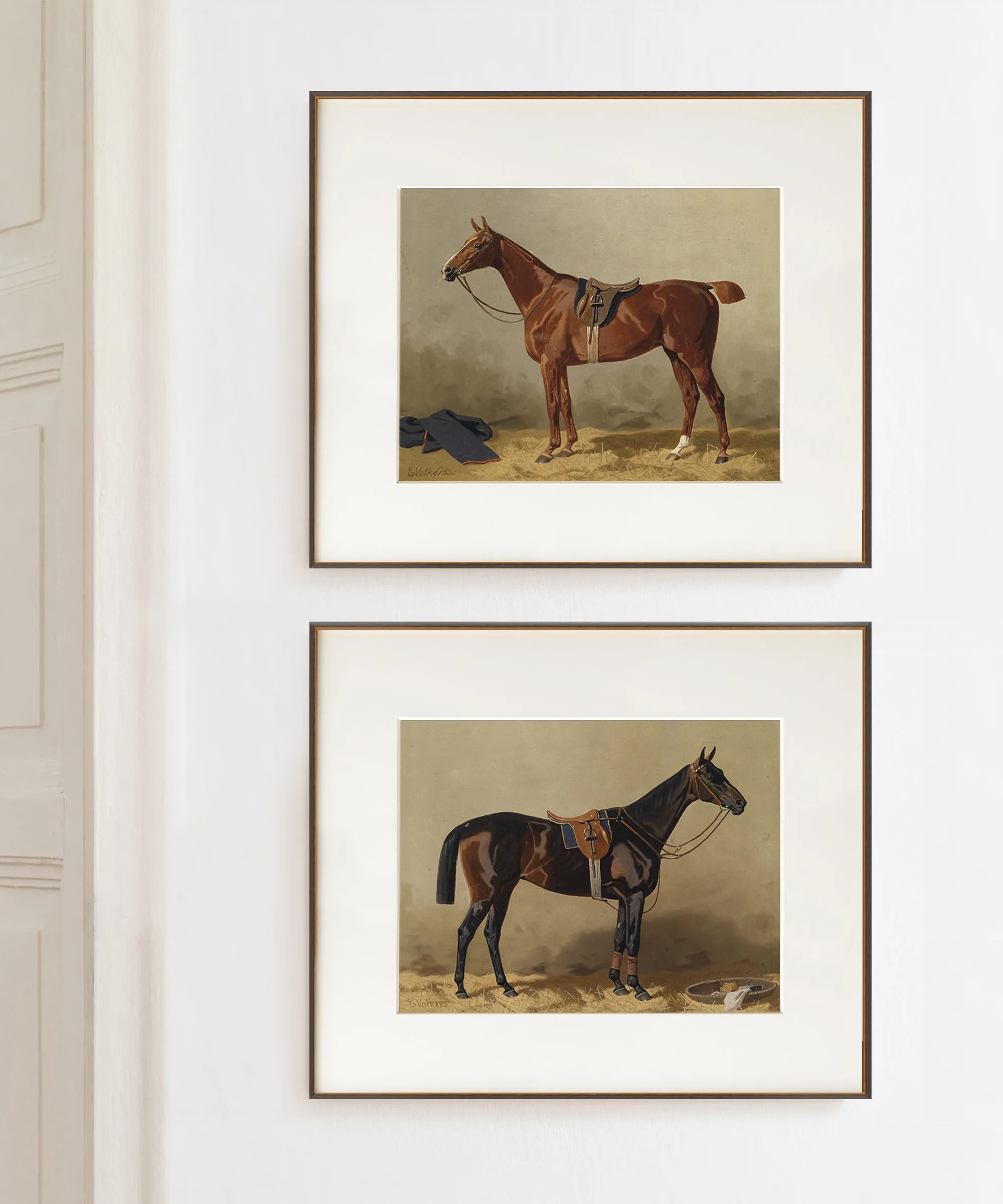 Set of Two Horse Portraits | Collection II
